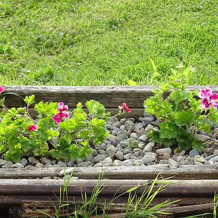 Gasthuis Les Chalets D'hotes Esprit Nature Tudelle